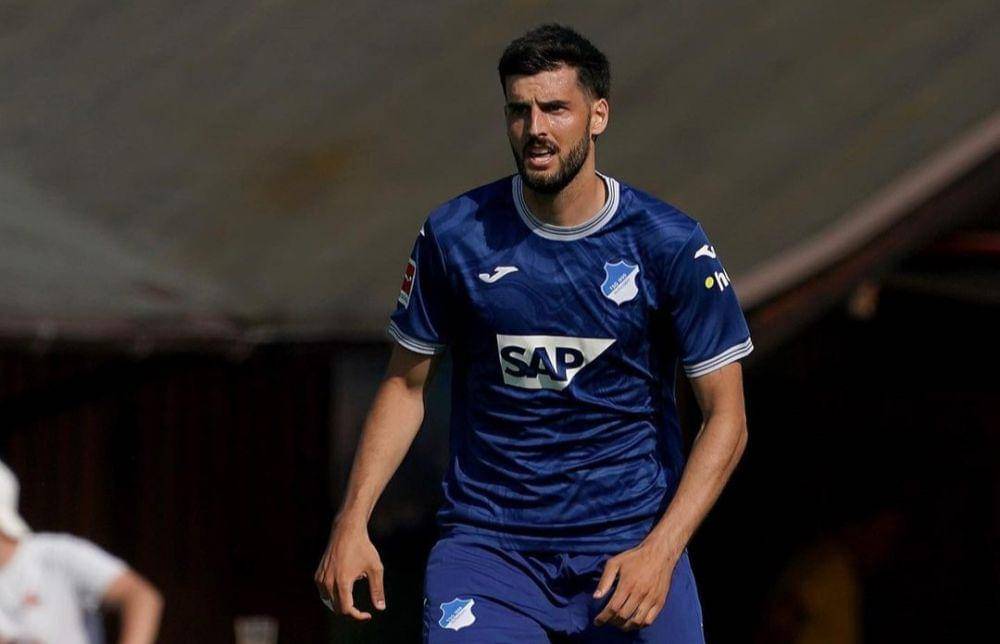 Florian Grillitsch (instagram.com/tsghoffenheim)