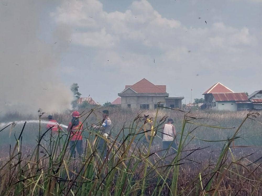Kebakaran hutan dan lahan kian mendekati pemukiman warga di Desa Ibul 3, kecamatan Pemulutan, Ogan Ilir (Istimewa)