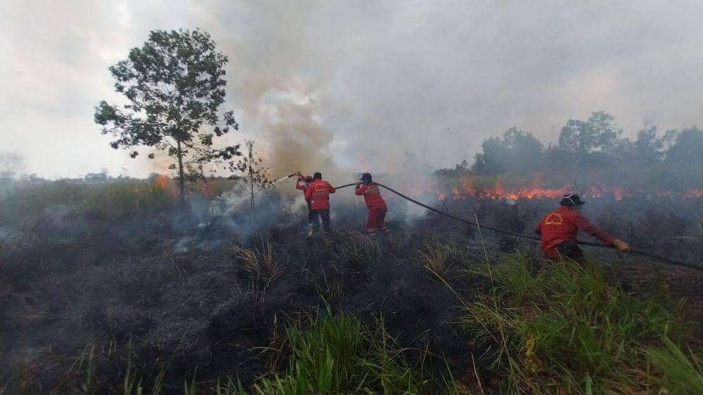 Kebakaran hutan dan lahan kian mendekati pemukiman warga di Desa Ibul 3, kecamatan Pemulutan, Ogan Ilir (Istimewa)