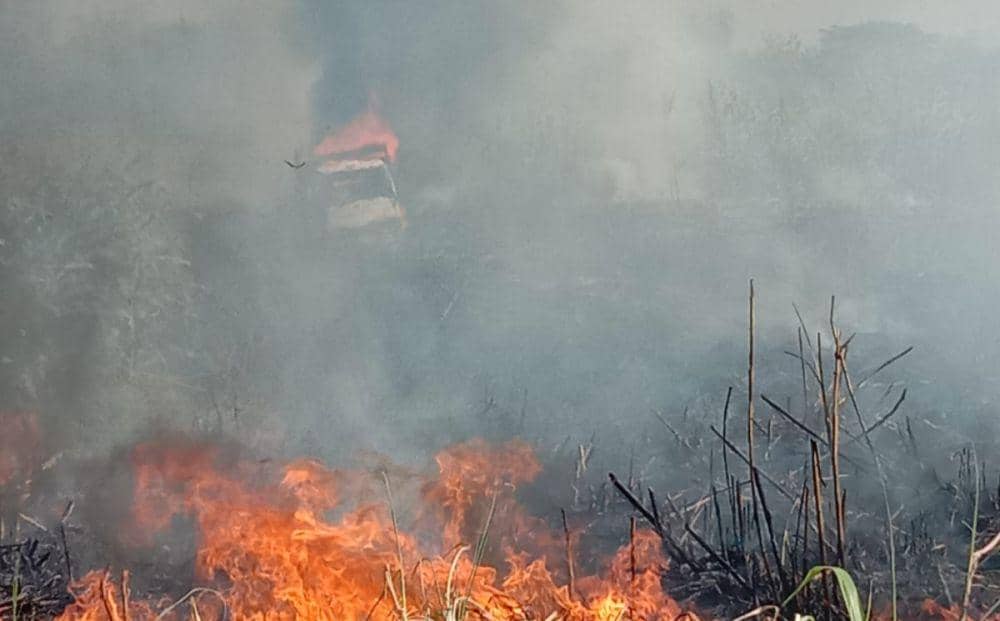 Truk Korslet Bikin Lahan Tebu di Magetan Ludes Terbakar