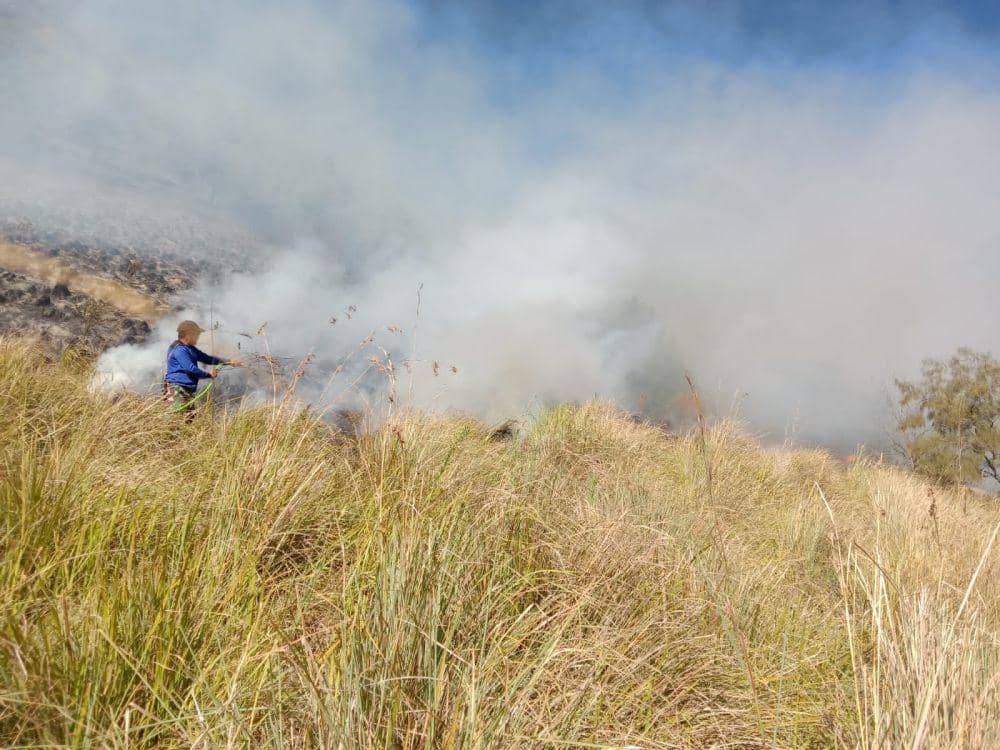 Upaya pemadaman kebakaran di Gunung Bromo. (Dok. BB TNBTS)