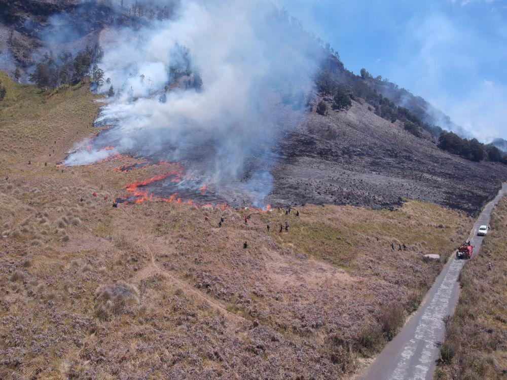 Bikin Sedih, Ini 7 Potret Bromo Sebelum dan Sesudah Kebakaran
