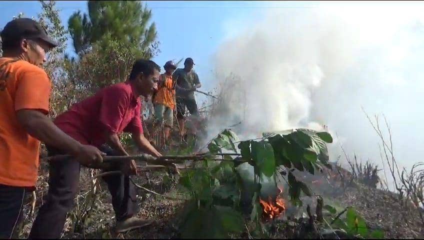 Perhutani Ngawi/ IND Times/ Istimewa