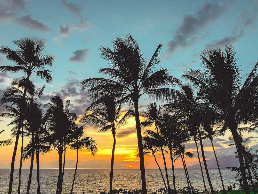 potret sunset di Maui, Hawaii (unsplash.com/Neora Aylon)