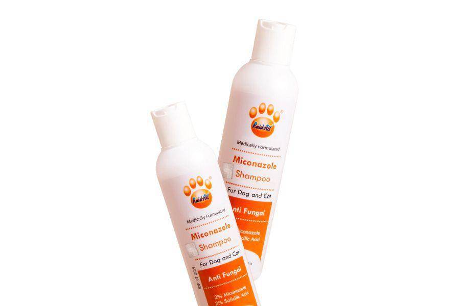 ilustrasi Raid All Miconazole Shampoo for Dog and Cat (shopee.com/Raid All Official Store)
