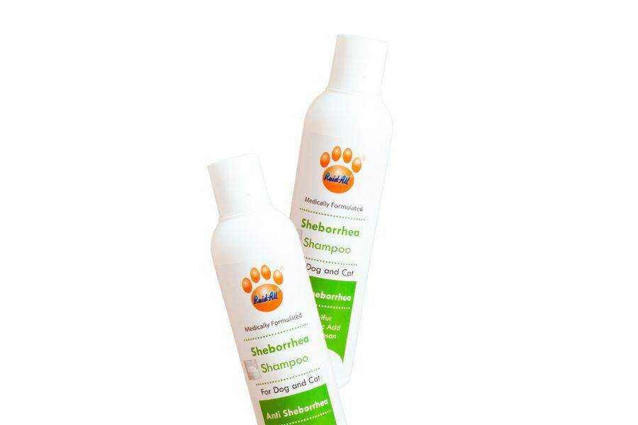 ilustrasi Raid All Sheborrea Shampoo for Dog and Cat (shopee.com/Raid All Official Shop)