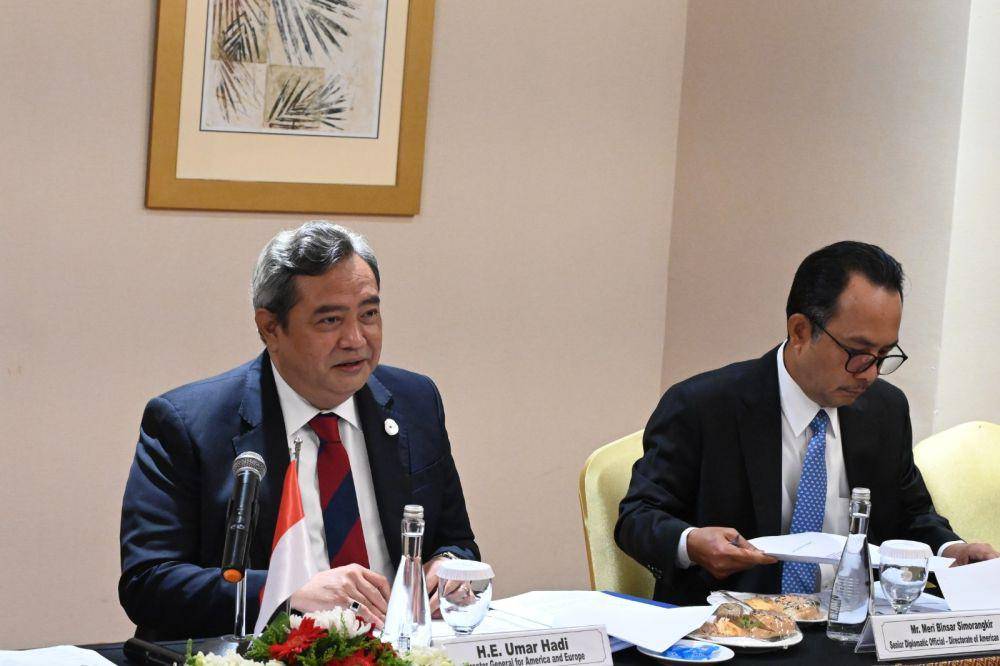 Dirjen Amerika dan Eropa Kementerian Luar Negeri RI, Umar Hadi. (dok. Kemlu RI)