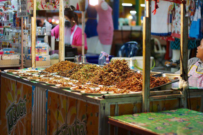 5 Manfaat Edible Insects, Alternatif Pemenuhan Gizi Masyarakat Dunia!