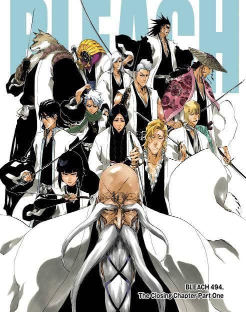 Bleach. (Bleach494)