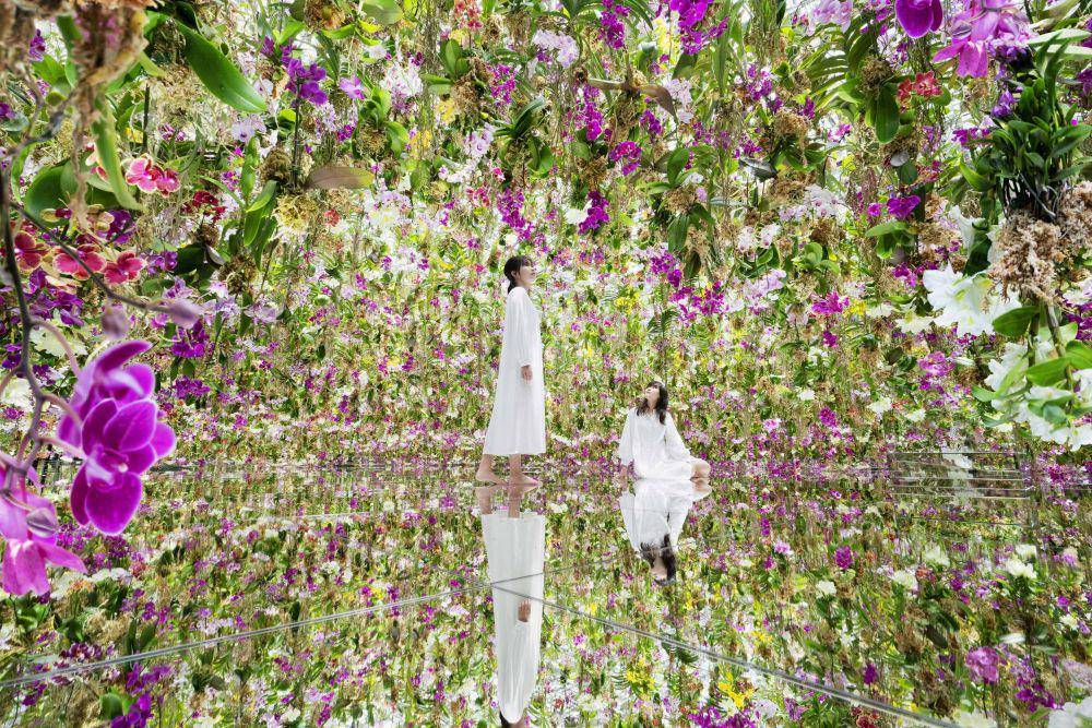teamLab Planets (teamlab.art)