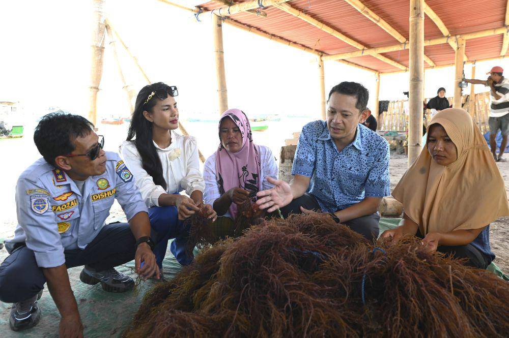 dok. Banyu For Blue Bird