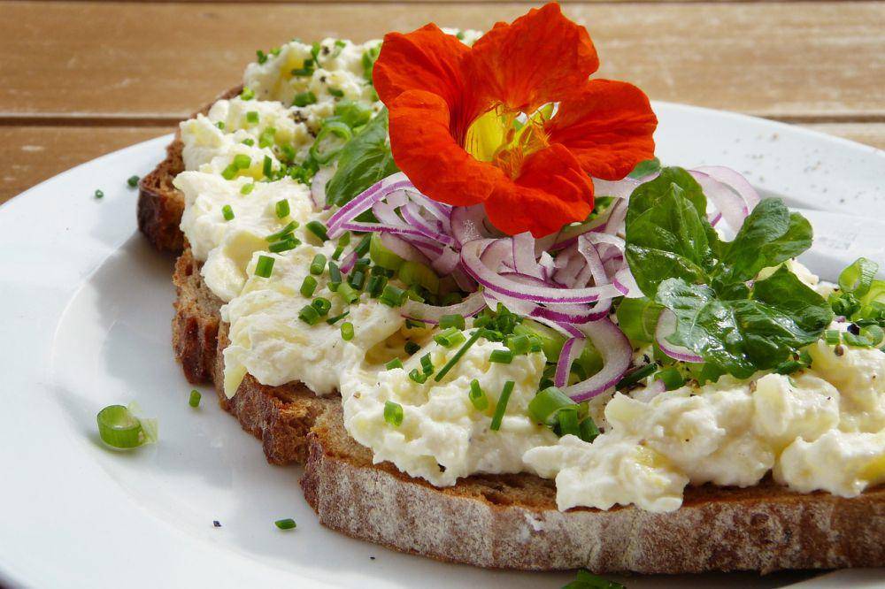 ilustrasi sandwich nasturtium (pixabay.com/silviarita)