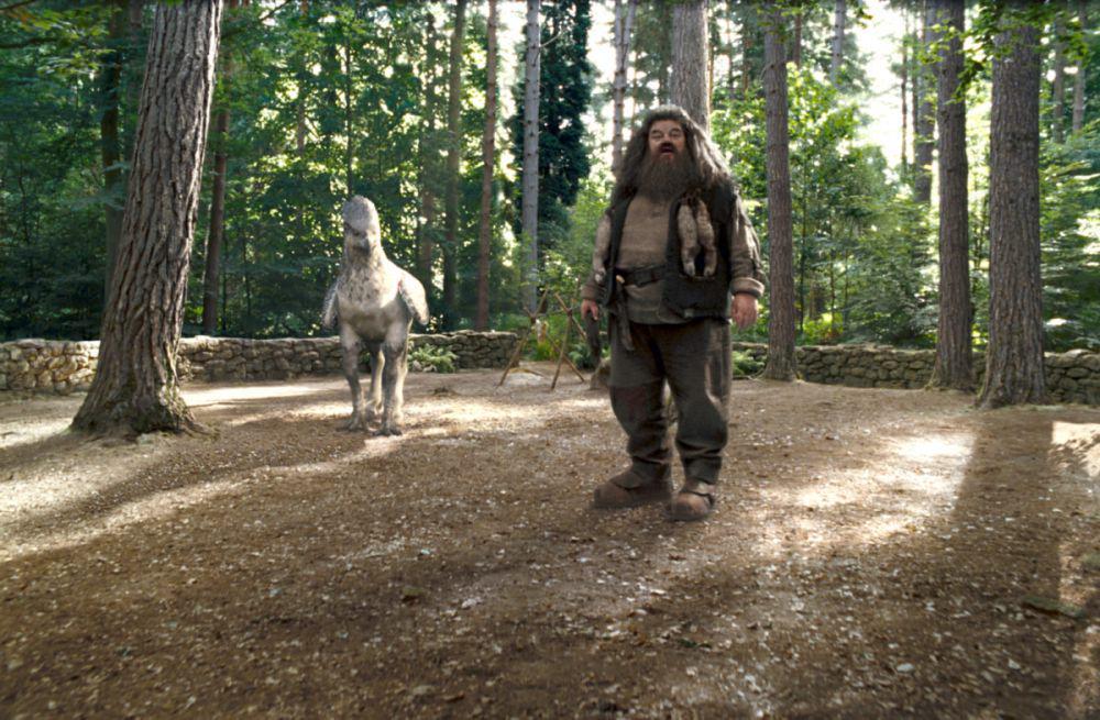 11 Fantastic Beasts yang Dipelihara Rubeus Hagrid di Harry Potter