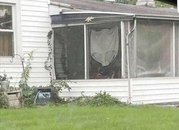 potret hal aneh tetangga (instagram.com/cursedimages2009)