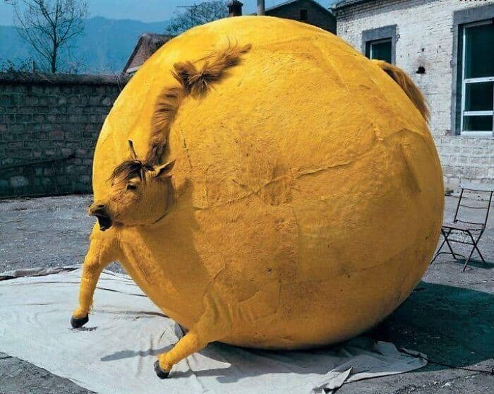 potret hal aneh tetangga (instagram.com/cursedimages2009)