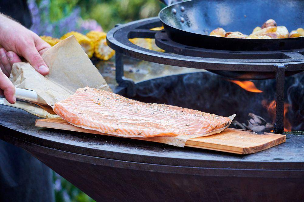 ilustrasi ikan fillet (pixabay.com/distelAPPArath)