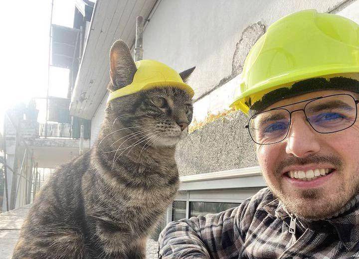 foto lucu kucing pakai helm (reddit.com/user/whathe_cat)