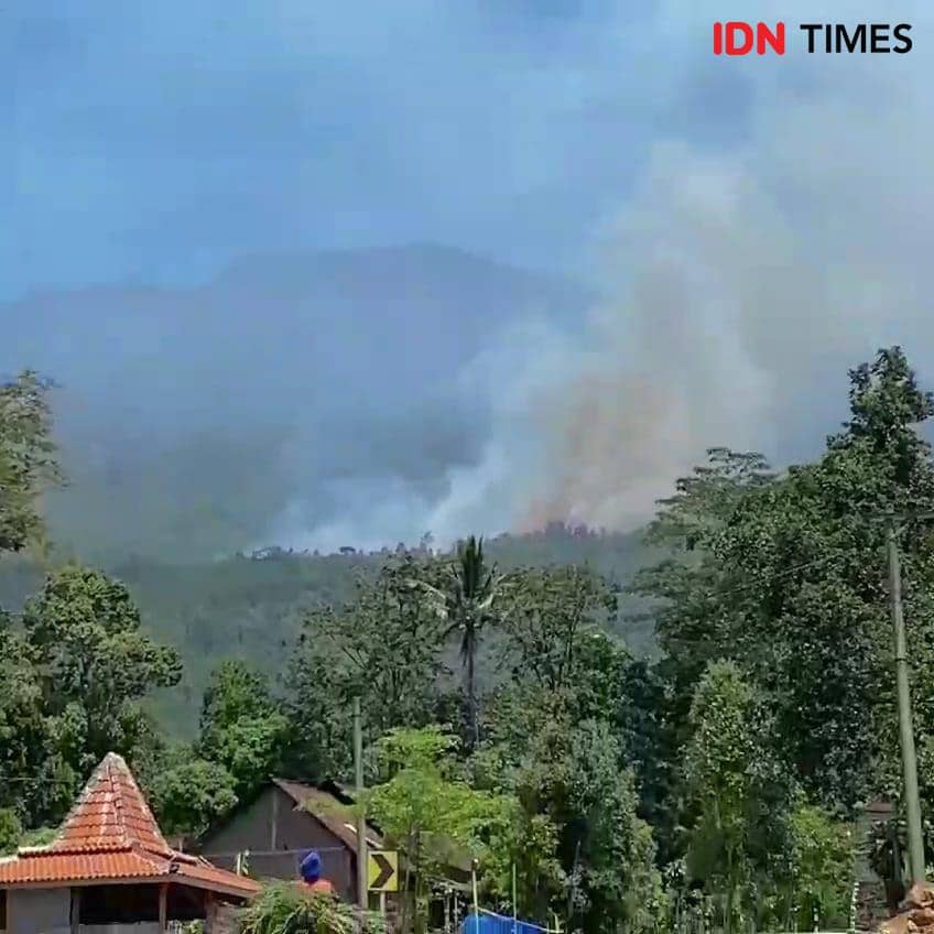 Hutan di Lereng Gunung Lawu Ngawi Kembali Terbakar