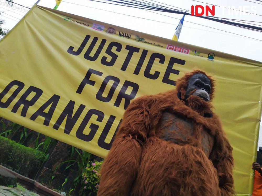 Vonis Terbit Rencana Ringan, 'Orangutan' Mengadu ke Kejati Sumut