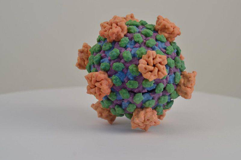 ilustrasi reovirus (flickr.com/NIAID)