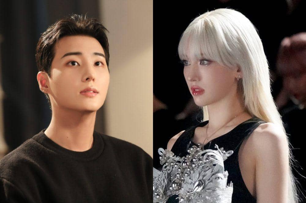 13 MV Solois KPop Ini Dilengkapi Terjemahan Indonesia, Terbaru Young K