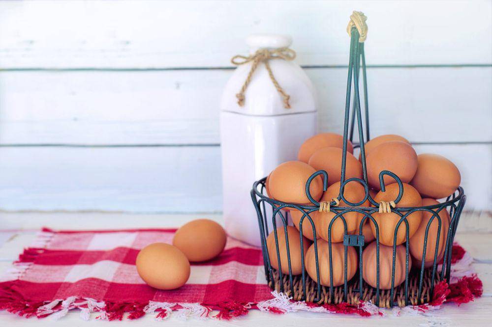 ilustrasi telur (pixabay.com/JillWellington)