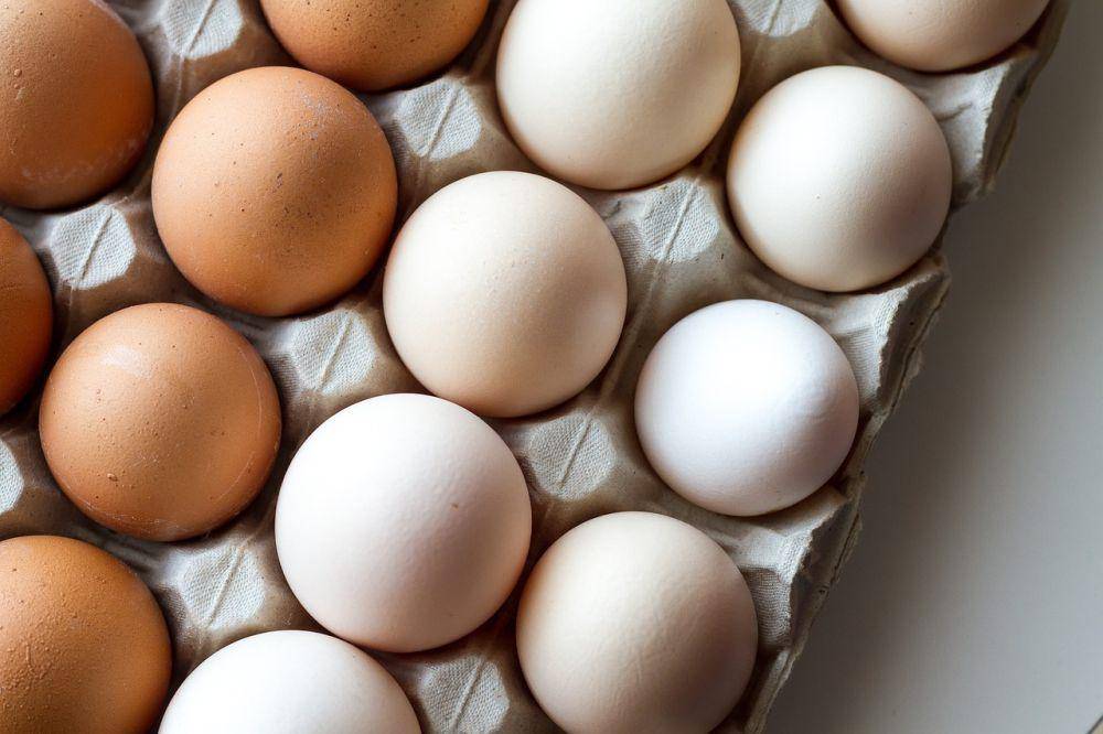 ilustrasi telur (pixabay.com/moiranazzari)