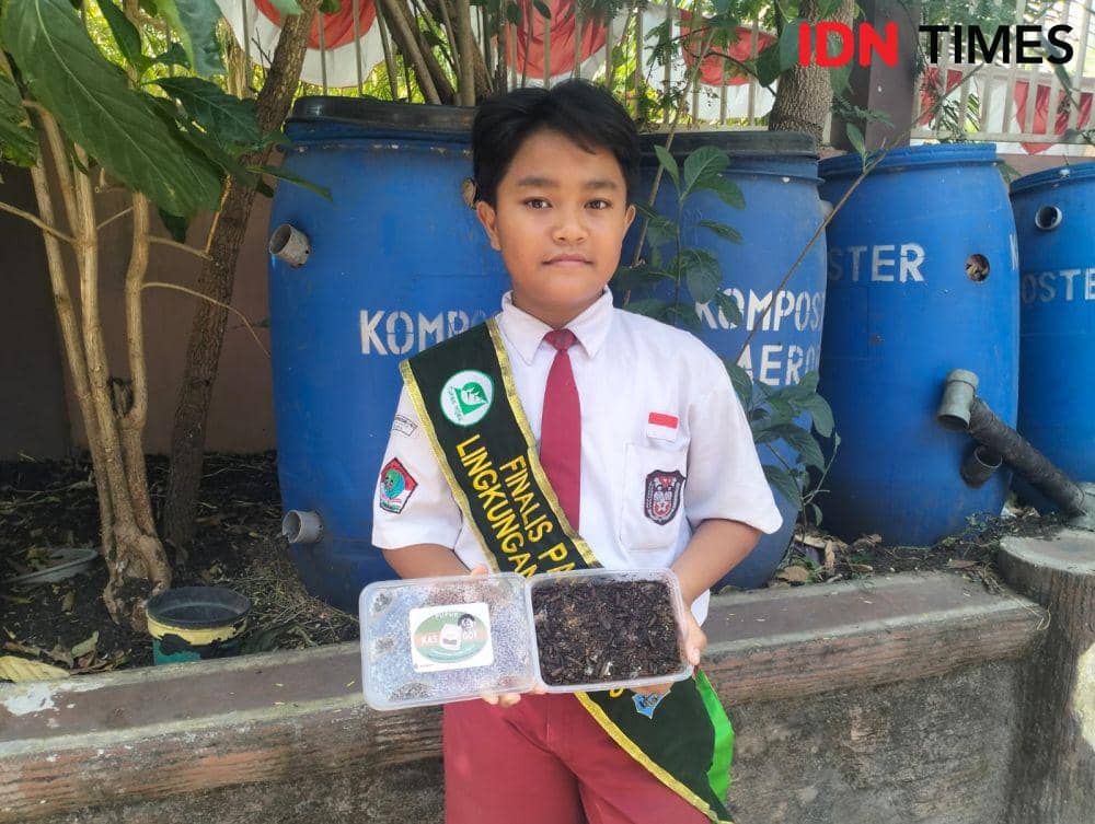 Cerita Galang, Siswa SD di Surabaya Bantu 17 RT Budidaya Maggot