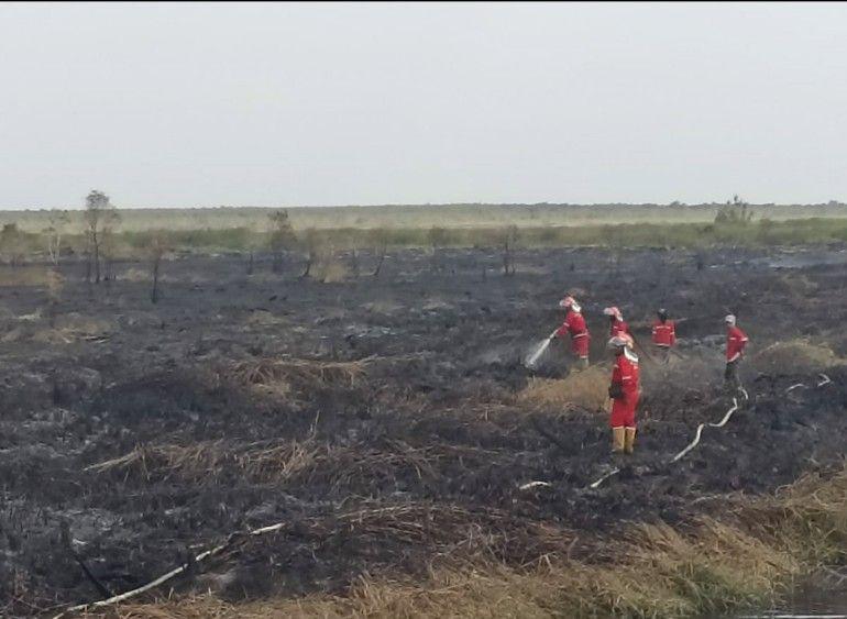 Enam Korporasi di Sumsel Diperiksa Terkait Penyebab Karhutla