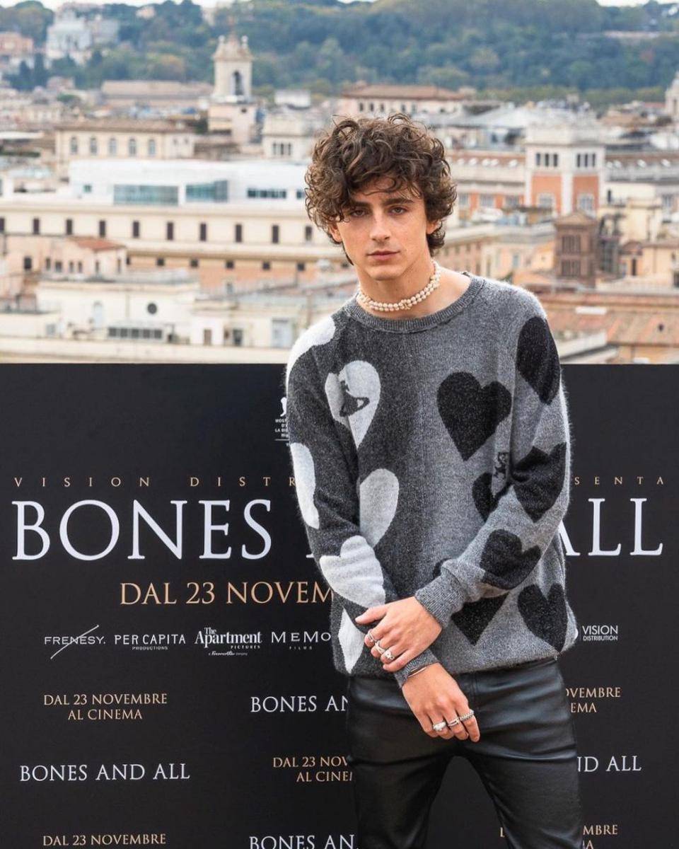 Timothee Chalamet 2022 (instagram.com/tchalamet/)