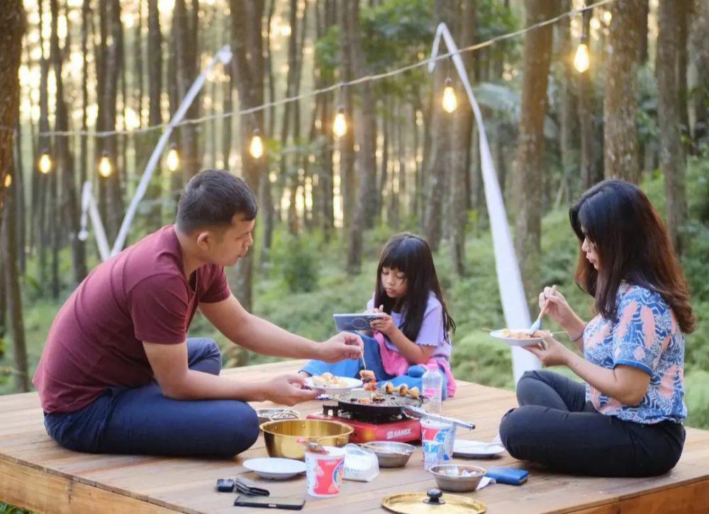 9 Pesona Pinea Forest Mangli, Wisata Baru di Magelang Wajib Dikunjungi