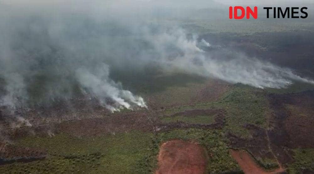 Karhutla Meluas ke Perbatasan, HSU dan Balangan Bersatu Padamkan Api