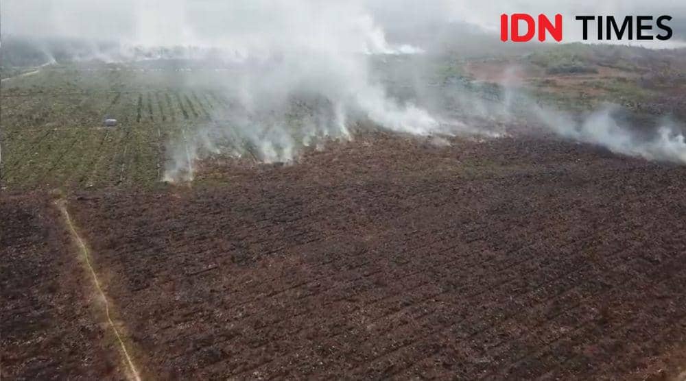 Kebakaran Hutan dan Lahan (Karhutla) yang terjadi di Kalbar. (IDN Times/Istimewa).