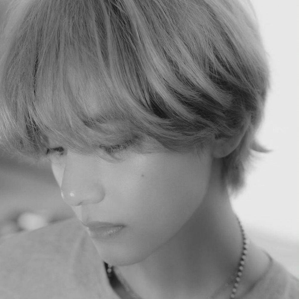 V BTS (dok. Weverse/BTS)