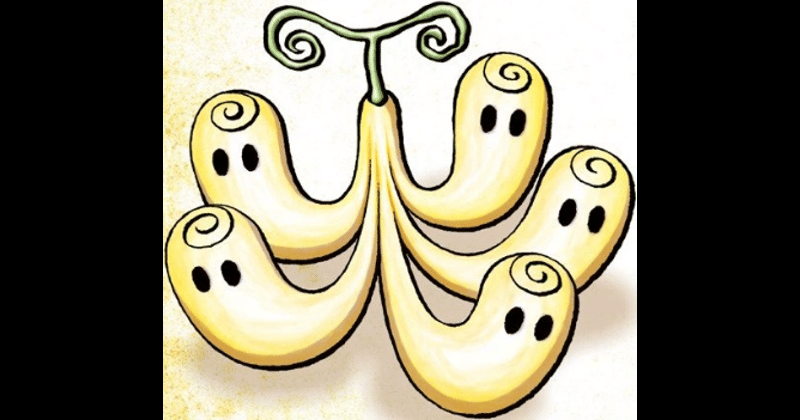 Horo Horo no Mi, Buah Iblis Perona. (Dok. Shueisha/One Piece Magazine)