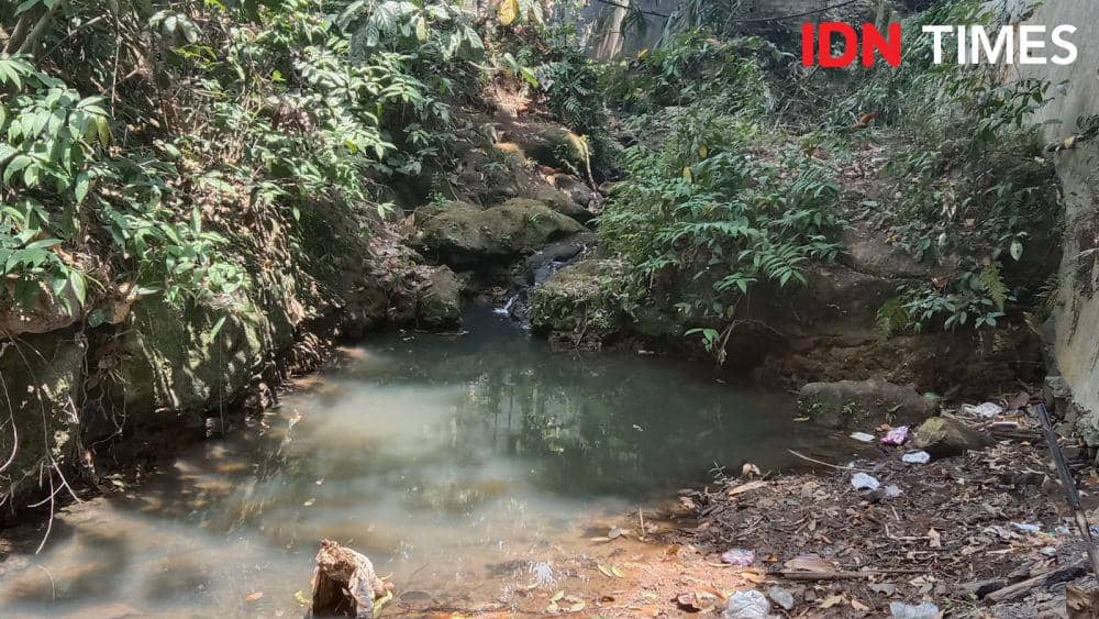 Kondisi mata air Sendang Kali Kidul Lanang di Kampung Kandri, Kecamatan Gunungpati yang tidak surut walaupun Kota Semarang tak pernah diguyur hujan selama musim kemarau tahun 2023. (IDN Times/Fariz Fardianto)