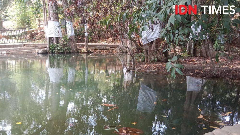Sendang Gede yang letaknya di RT 05, Kampung Kandri Gunungpati Semarang memiliki diameter yang lumayan lebar dengan kedalaman sekitar 2 meter. (IDN Times/Fariz Fardianto)