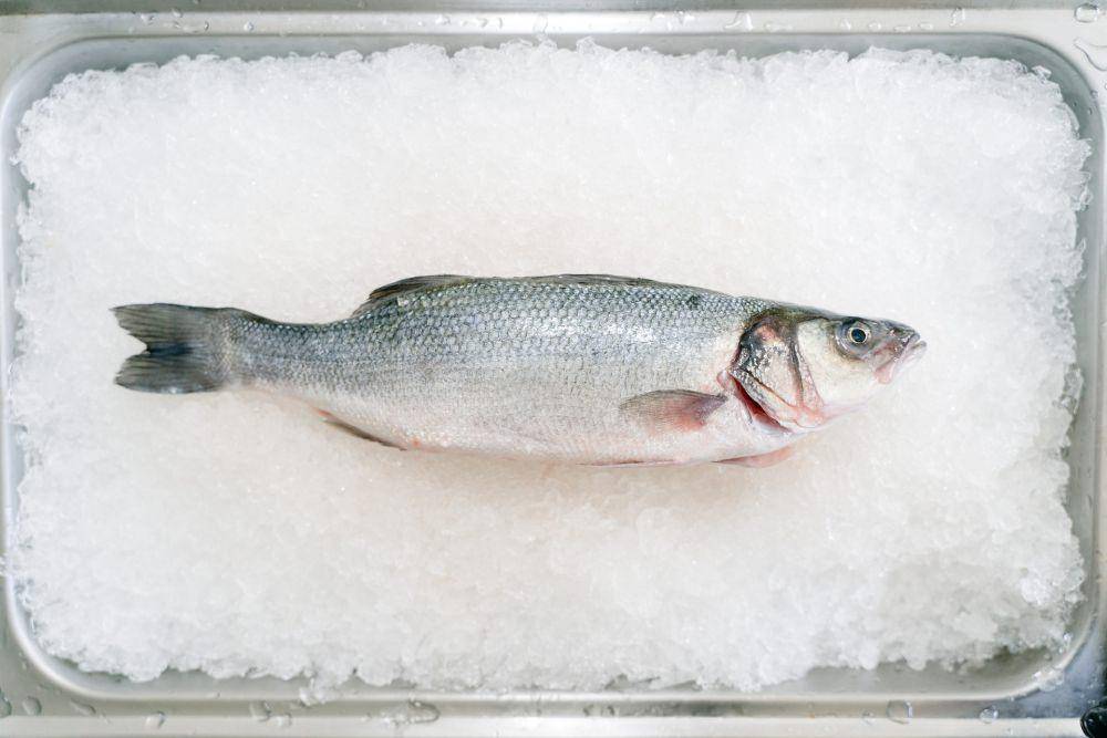 Ikan Salmon (pexels.com/Deane Bayas)