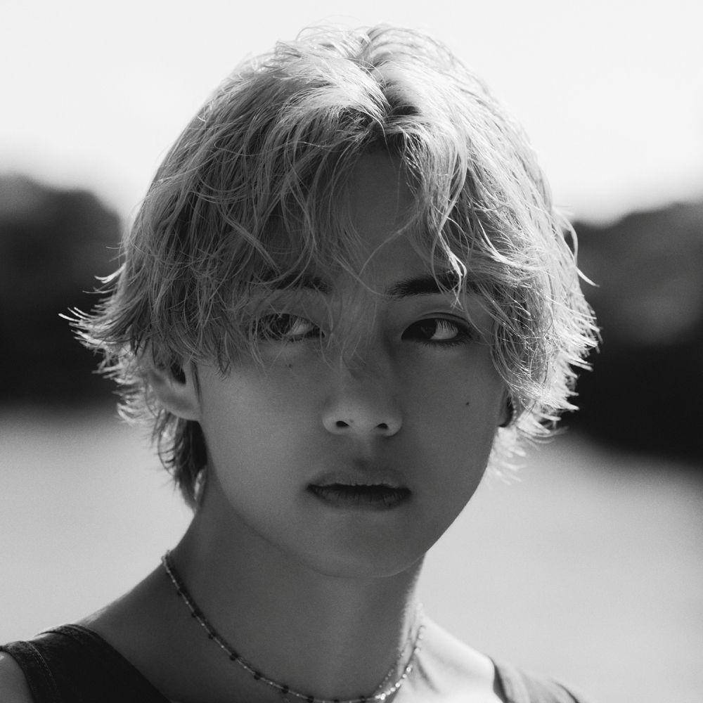 V BTS (dok. Weverse/BTS)