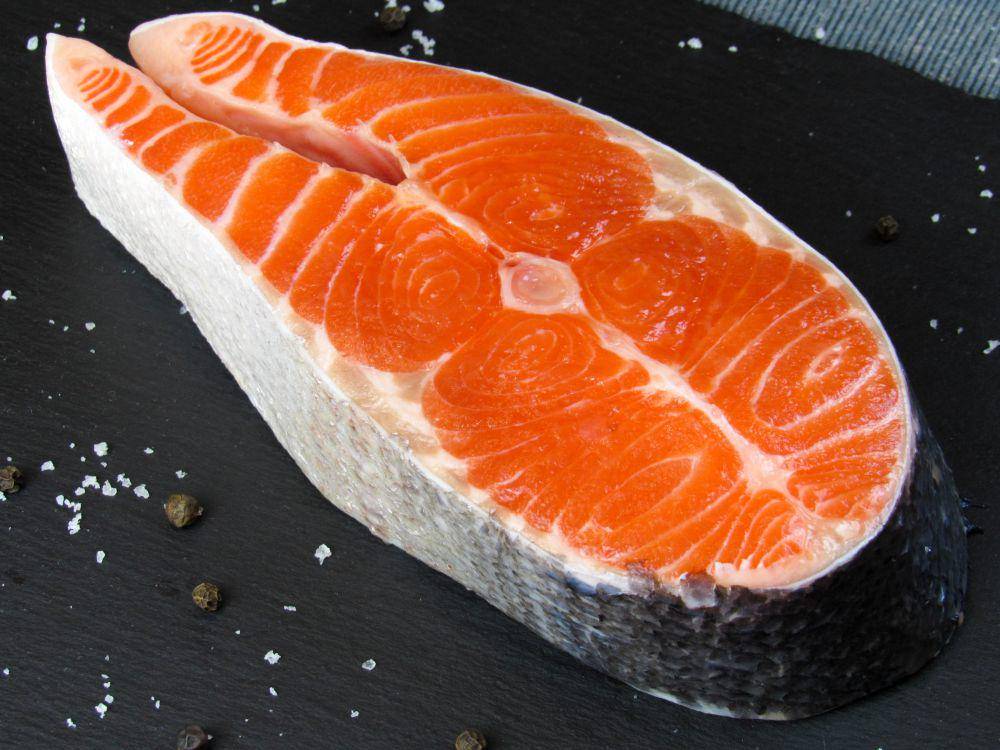 ilustrasi salmon (unsplash.com/@karyna_panchenko)