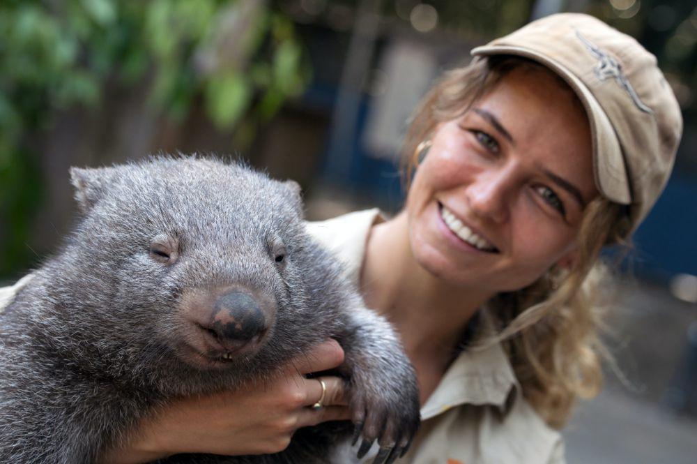 10 Tempat Wisata di Australia bagi Pencinta Hewan Endemik