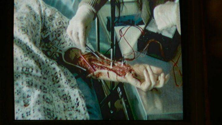 Birth/Rebirth (dok. IFC Films/Birth/Rebirth)