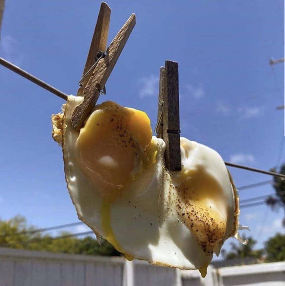 potret lucu yang bisa jadi kover album (facebook.com/Images That Could Be Album Covers)