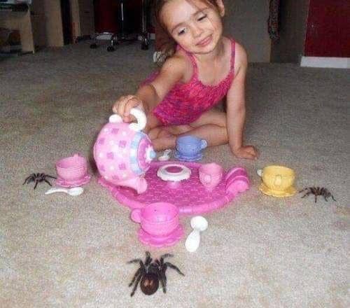 potret lucu yang bisa jadi kover album (facebook.com/Images That Could Be Album Covers)