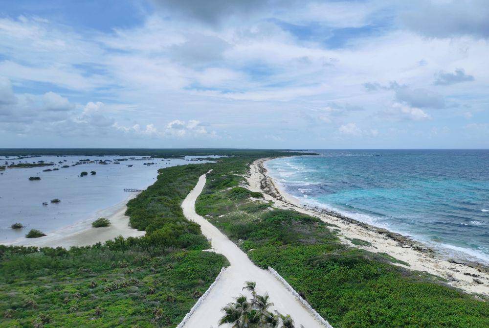 Cozumel, Quintana Roo (unsplash.com/doriandussartd)