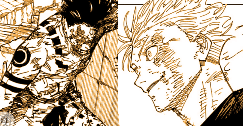 Gojo dikatakan menang dalam duel ( Dok. Shueisha / Jujutsu Kaisen )