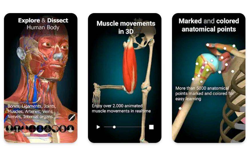 potret Anatomy Learning-3D Anatomy (3D Medical OU/Anatomy Learning-3D Anatomy)