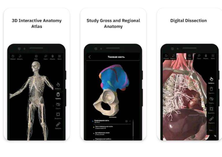potret Pirogov Anatomy (Nash Pirogov/Pirogov Anatomy)