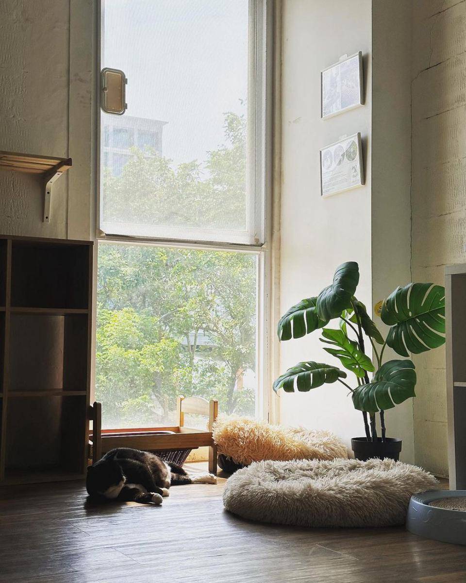 calicoffice ruangan (Instagram.com/calicoffice)