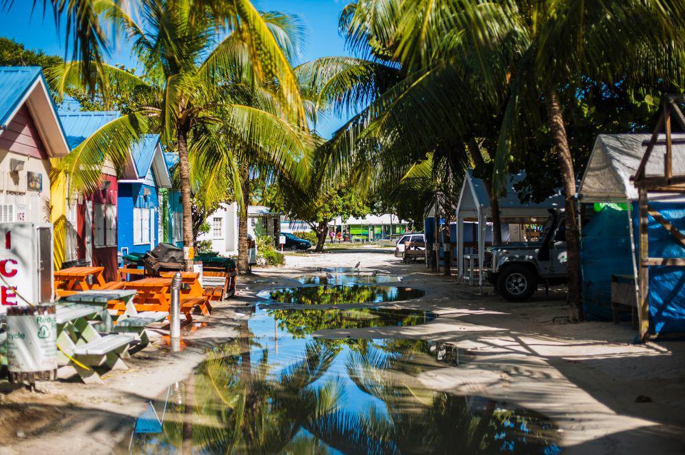 5 Aktivitas Seru saat Liburan di Barbados yang Patut Dicoba